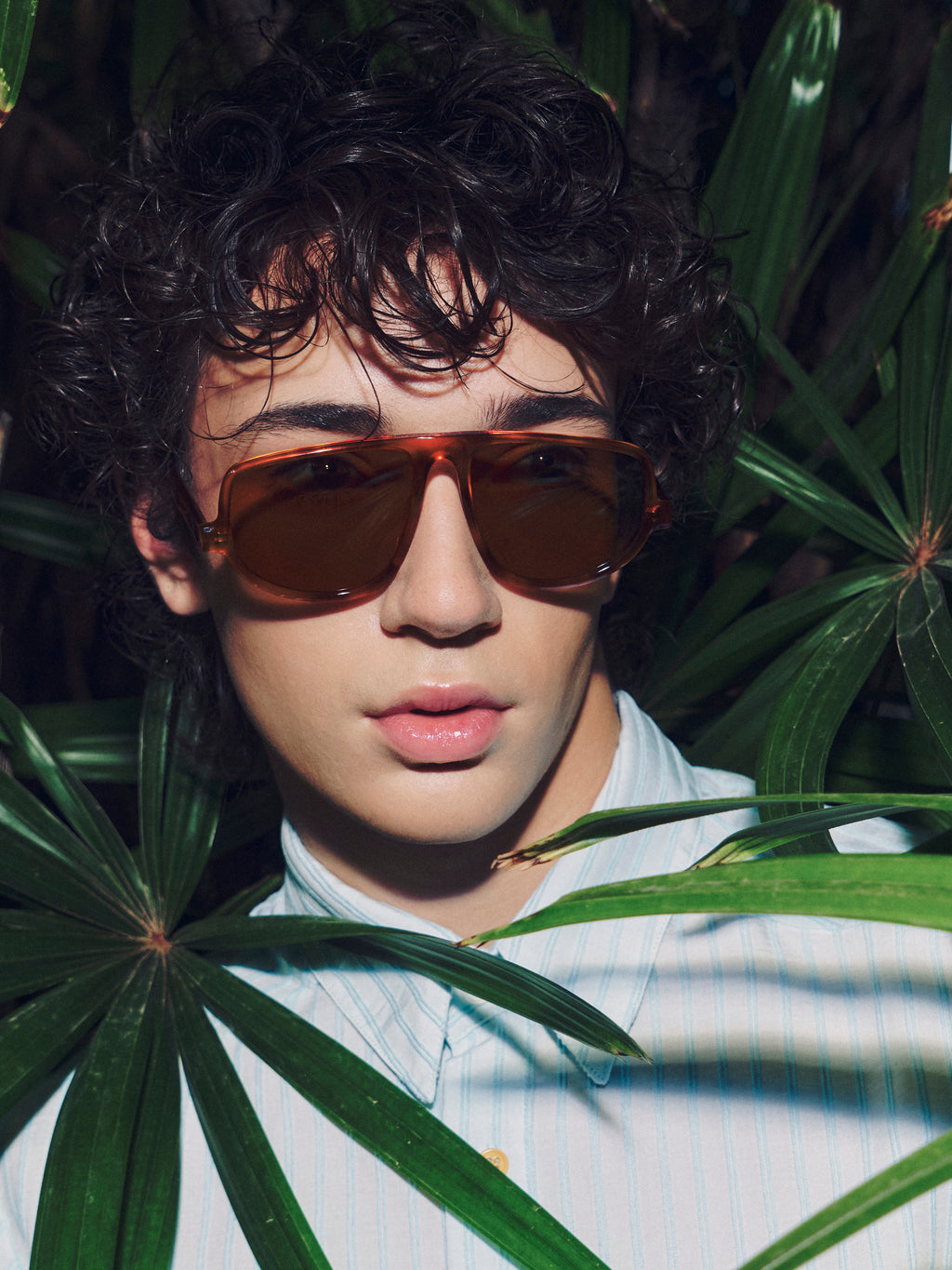 Felice sunglasses in light tortoise / olive
