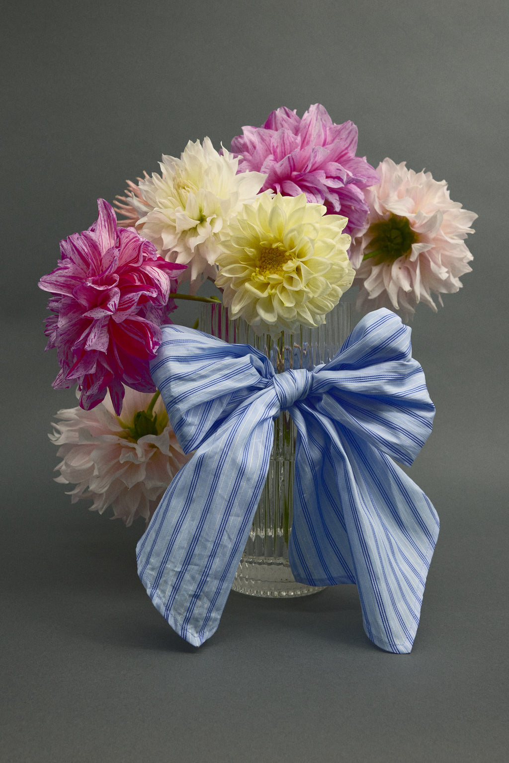 Olive strik in blue vintage cotton stripes