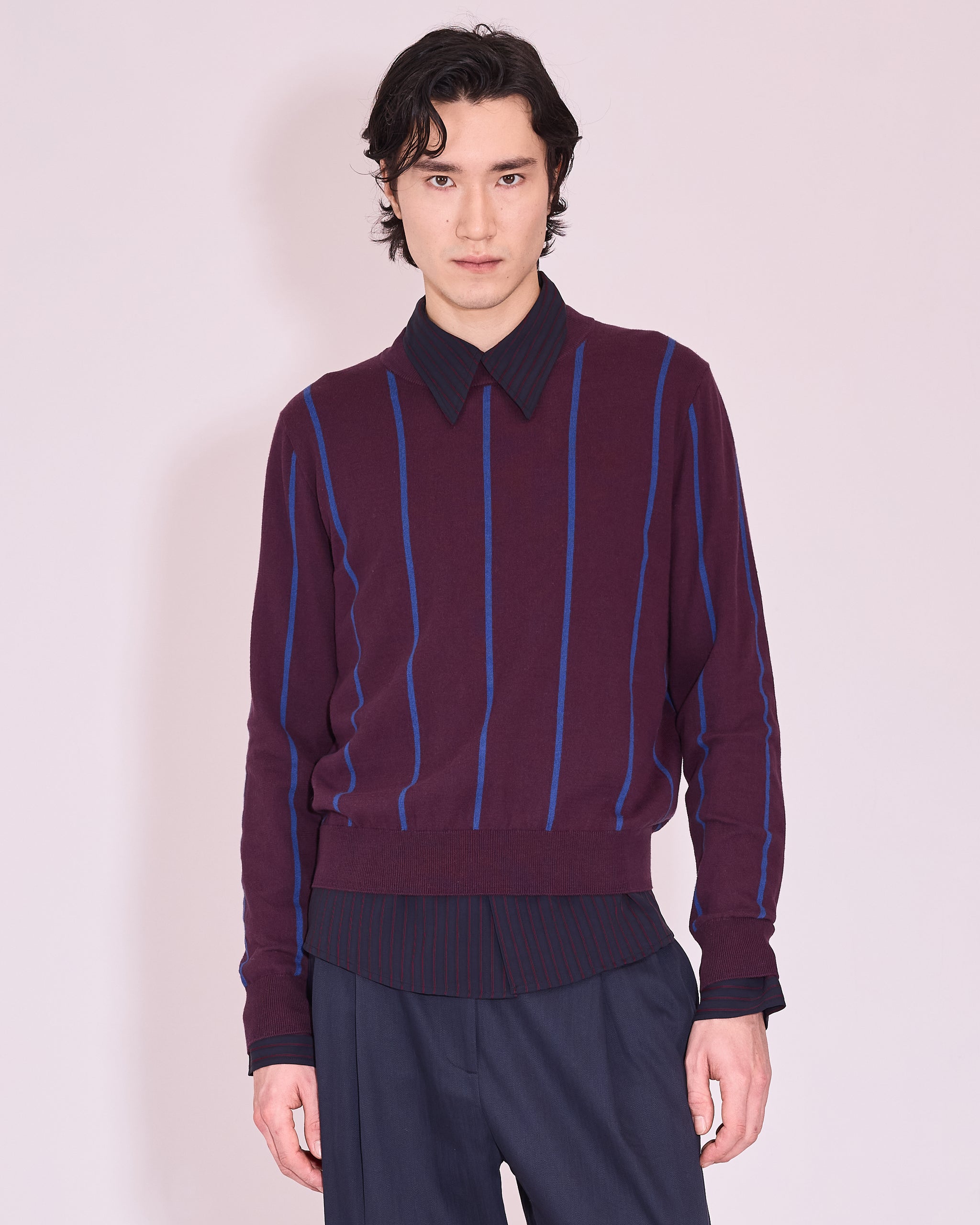 Jackson trui in plum / blue