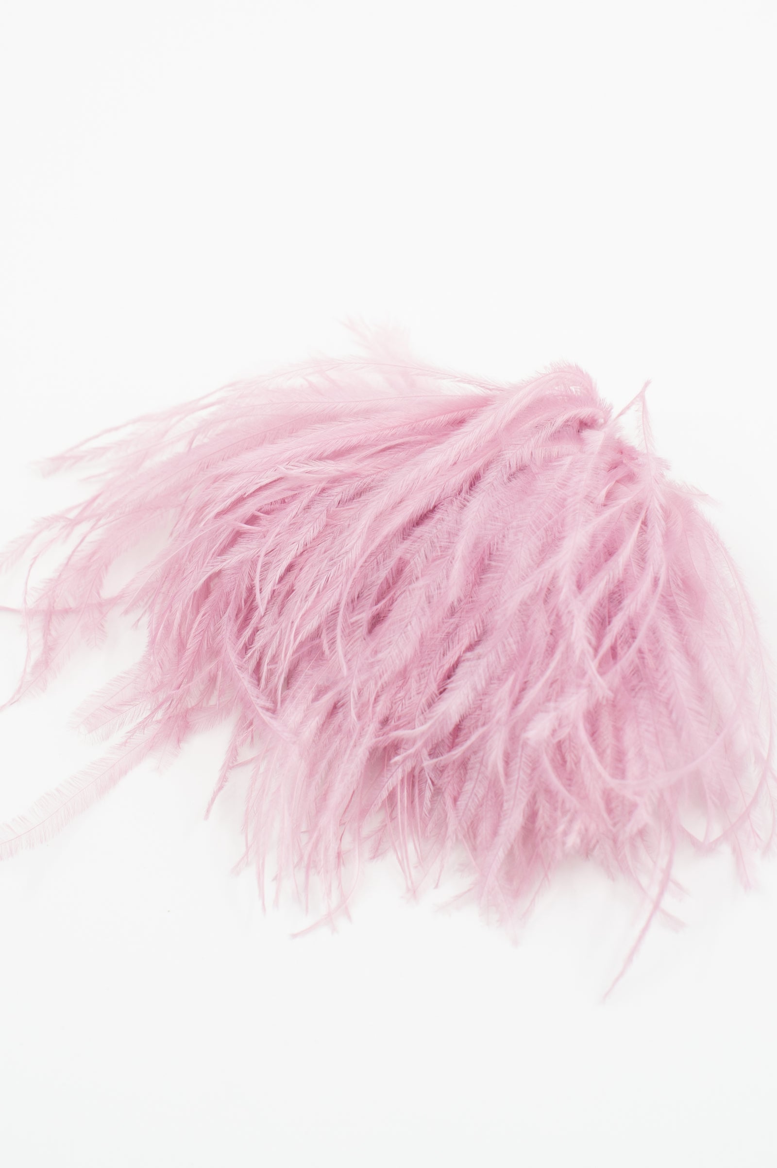 Zaza feathers brooche in lilac