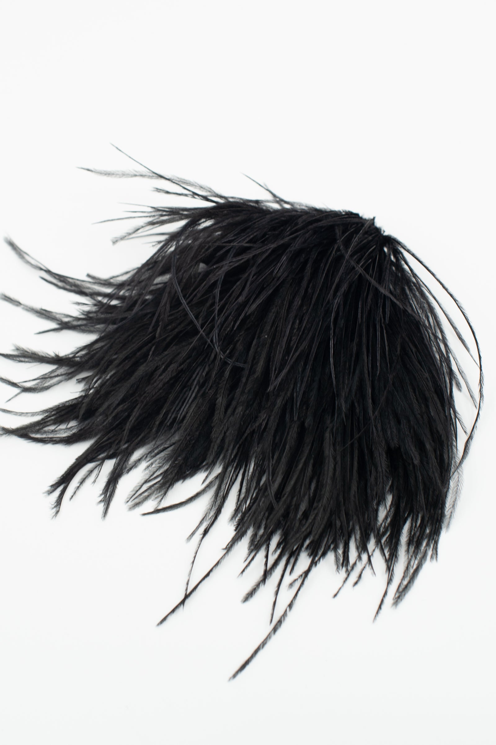 Zaza feathers brooche in black