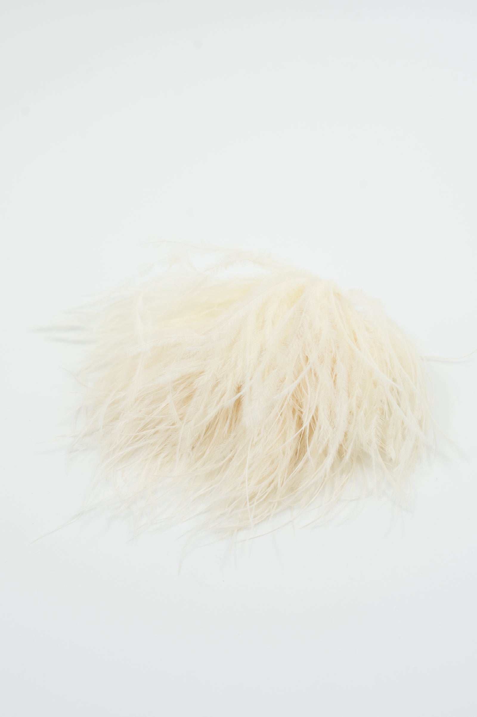 Zaza feathers brooche in cream