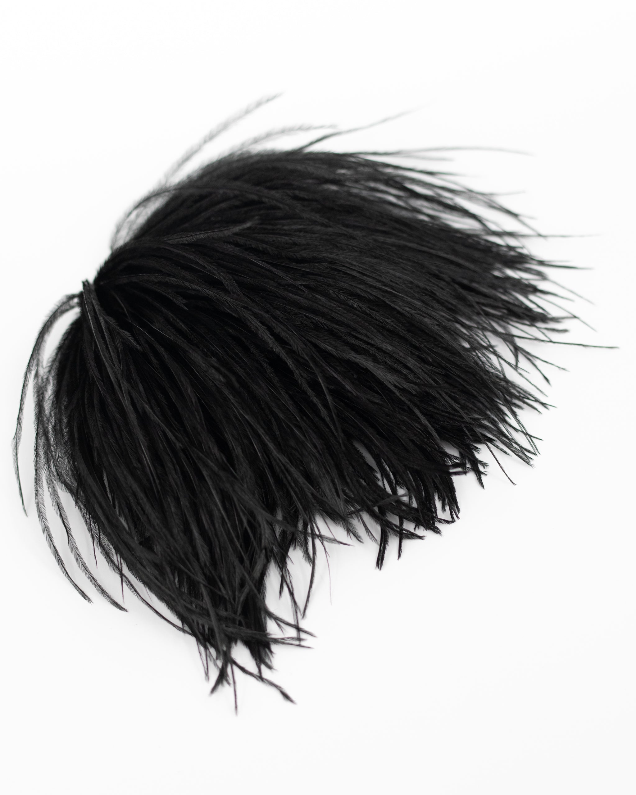 Zaza Federbrosche in Schwarz