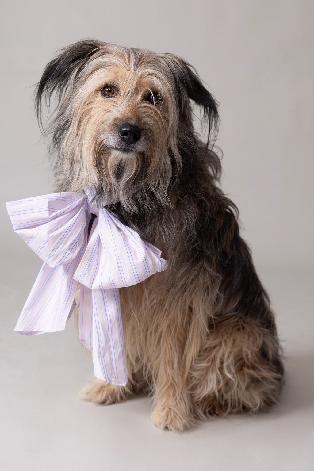 Olive strik in lilac blue vintage cotton stripes