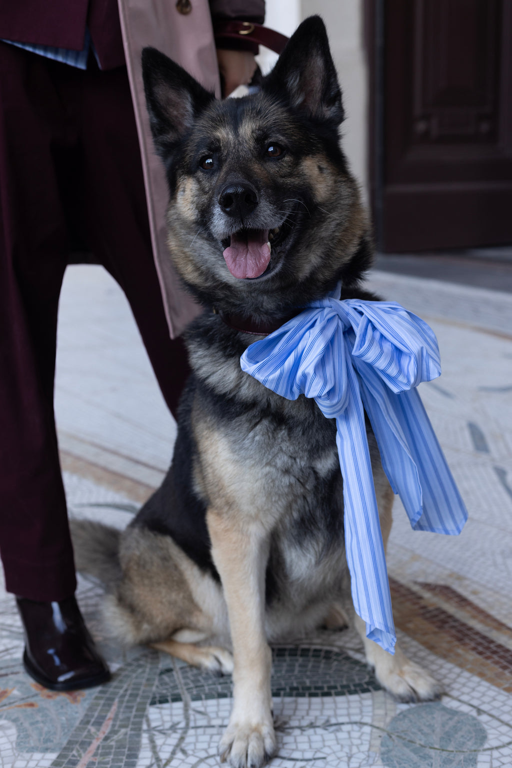 Olive strik in blue vintage cotton stripes