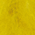 Canary