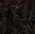Dark Coffee