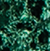 Metallic Green