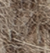 Sandstone